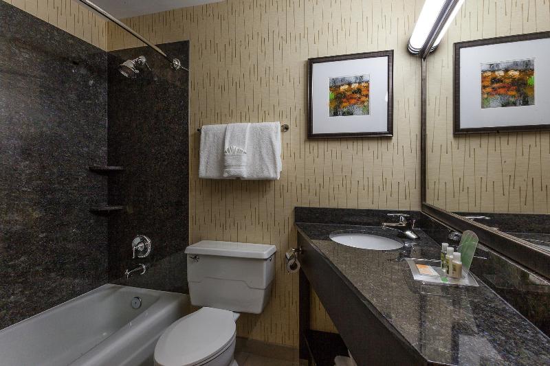 Holiday Inn Chicago North-Evanston photo 12