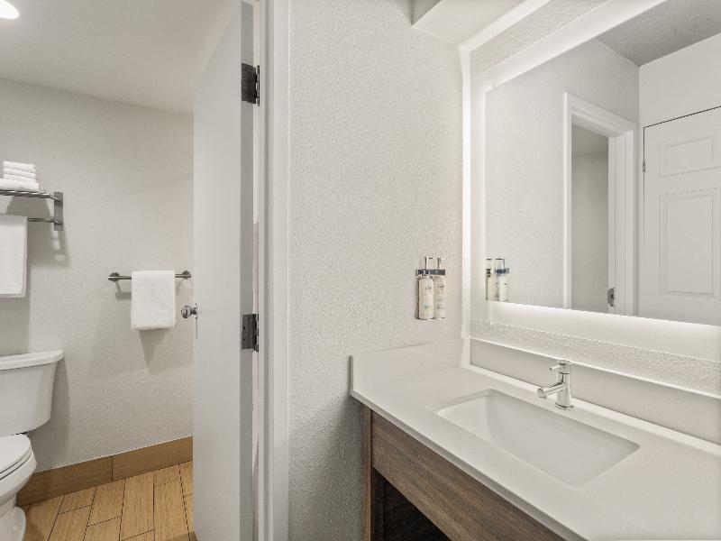 Holiday Inn Tampa Westshore - Airport Area image