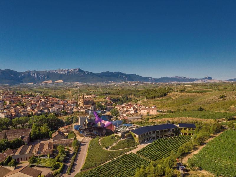 Hotel Marques de Riscal, a Luxury Collection Hotel image