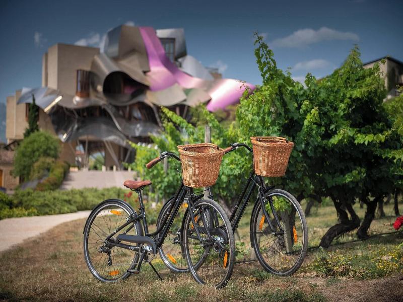 Hotel Marques de Riscal, a Luxury Collection Hotel image