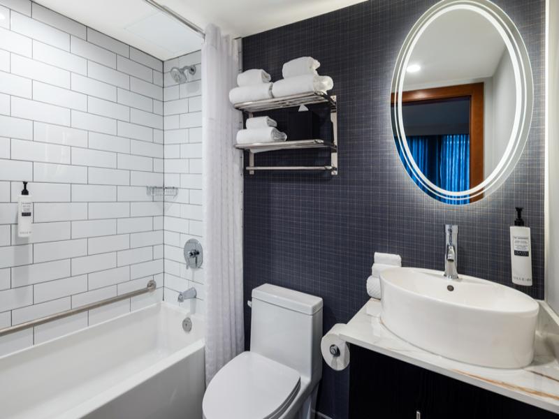 Embassy Suites Hotel Montreal image