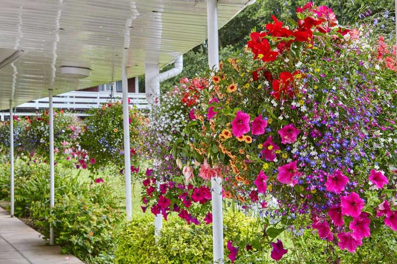 Best Western Royal George image