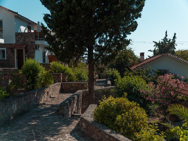 Hotel Delfinia image