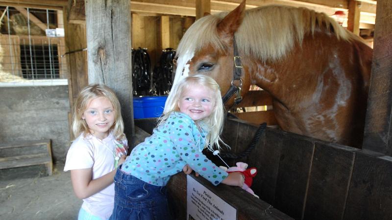 Holiday Inn & Suites Chicago North Shore Skokie