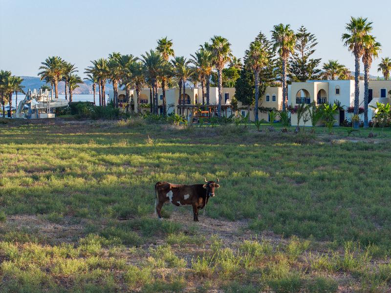 Grecotel Royal Park