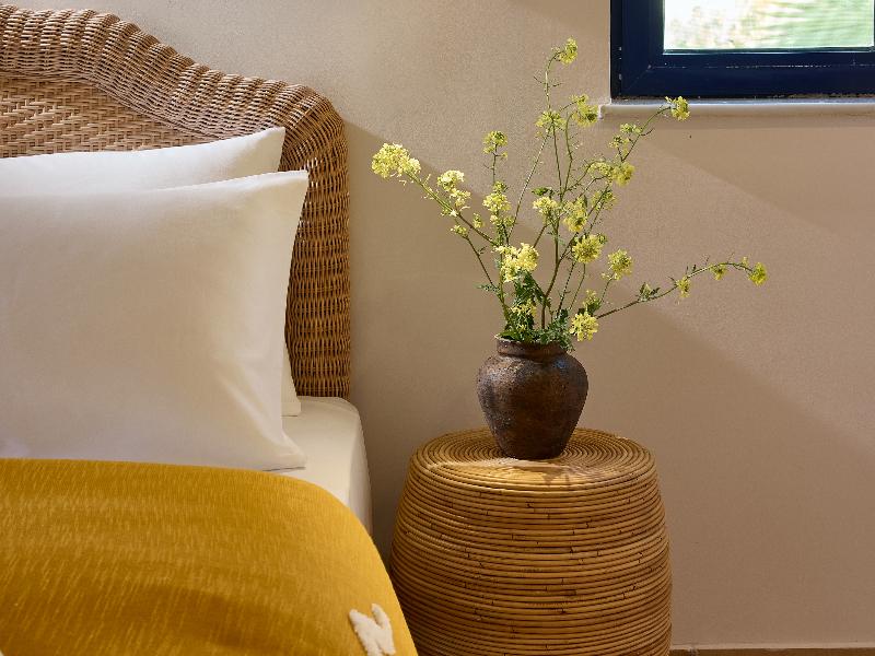 Grecotel Casa Paradiso image