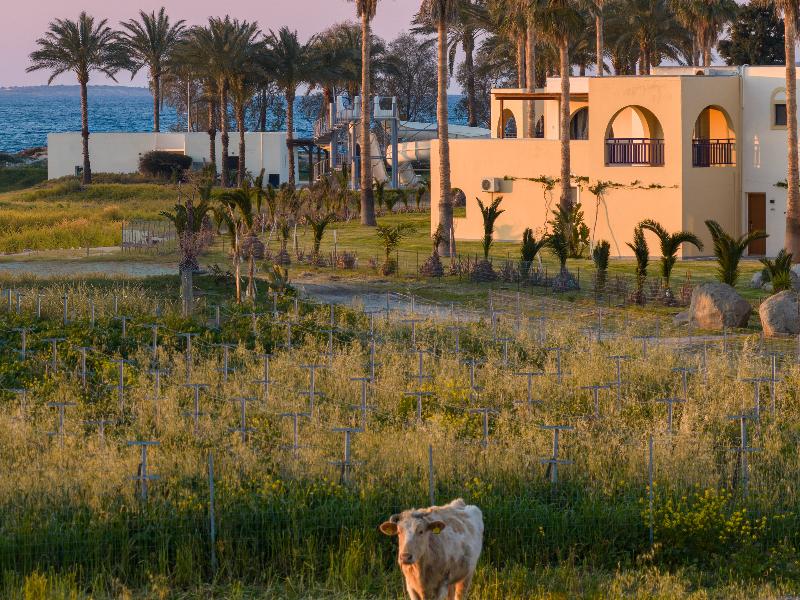 Grecotel Casa Paradiso image