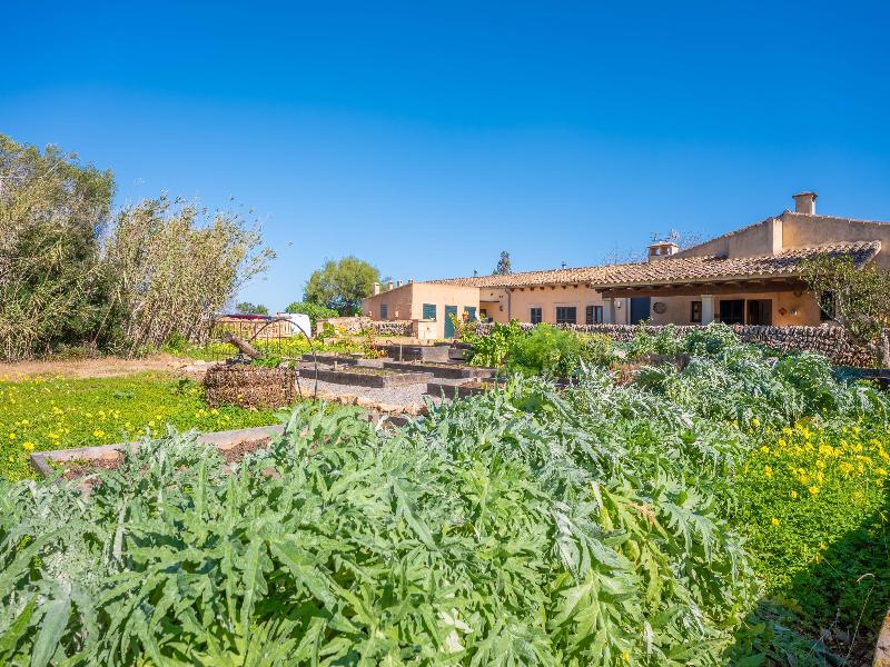 Agroturismo Mondragó (Antic Na Martina) image