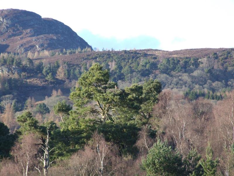 Kinloch House Hotel image
