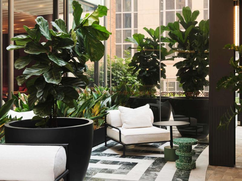 Sofitel Sydney Wentworth image