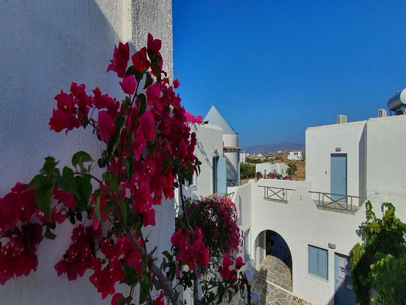 Epi Studios Matsas Windmill