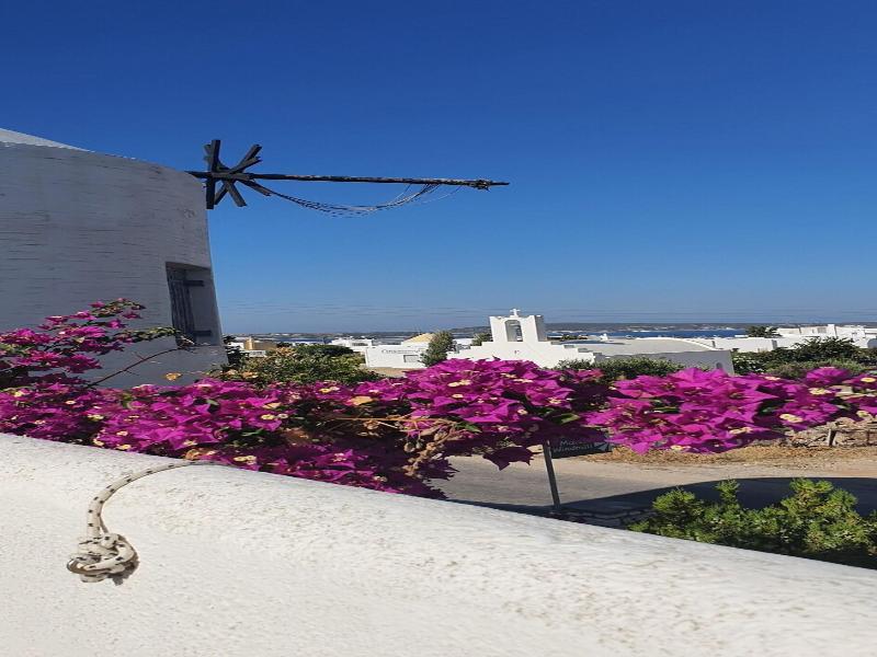 Epi Studios Matsas Windmill