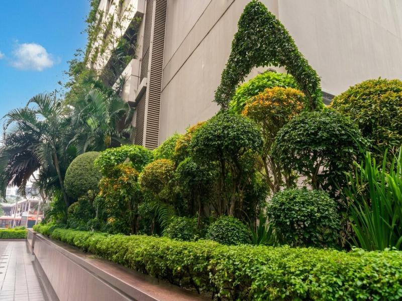 The Westin, Dhaka image