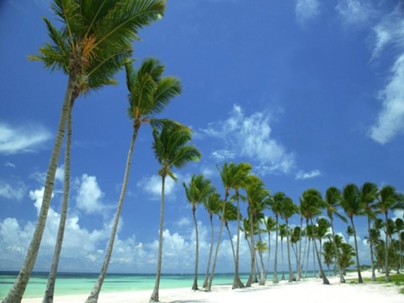 Sanctuary Cap Cana image