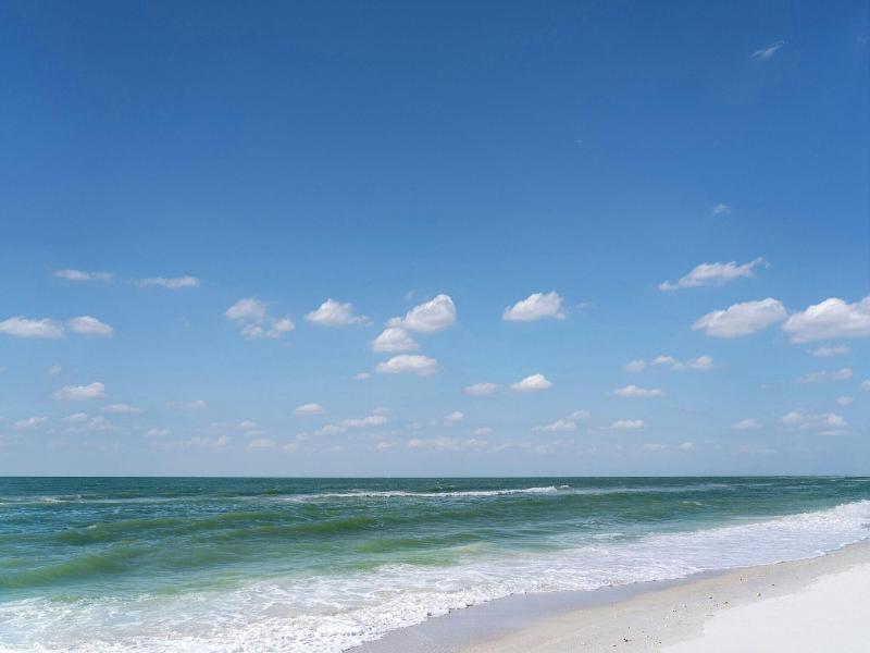The Ritz-Carlton, Sarasota image