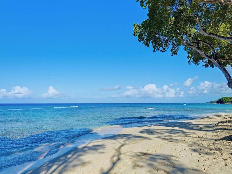 Tamarind by Elegant Hotels - All-Inclusive image