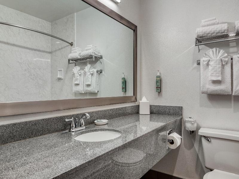 Best Western Seattle Airport Hotel image