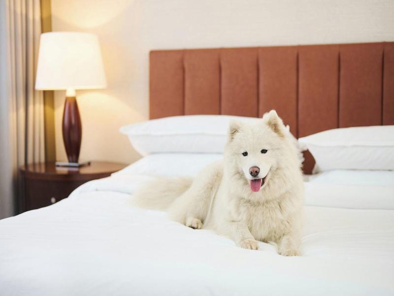 Sheraton Poznan image