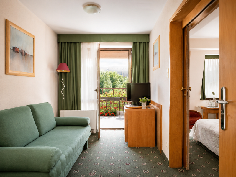 Hotel Secesja image