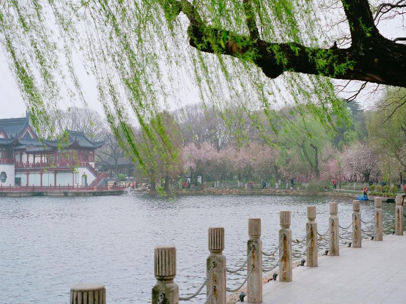 Sheraton Kingsley Nanjing image