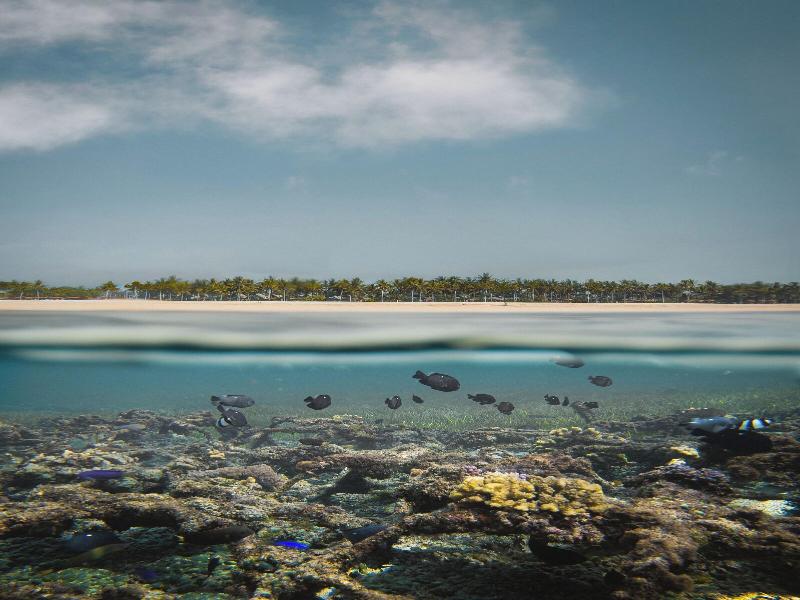The St. Regis Bali Resort image