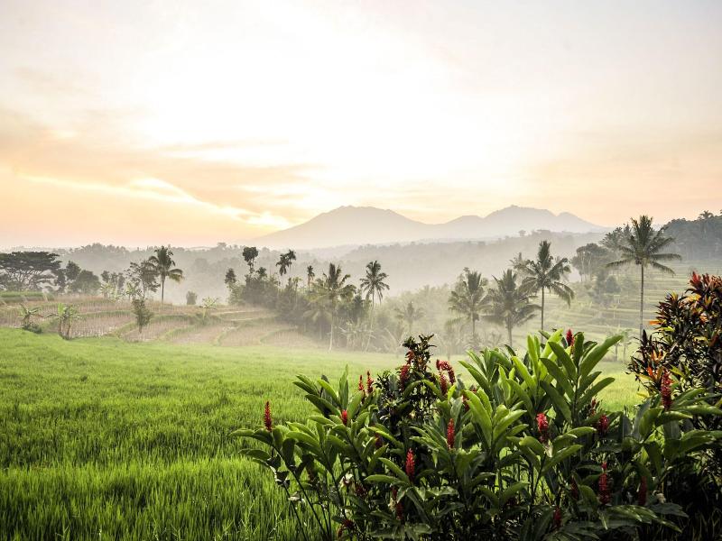 Ijen Resort image