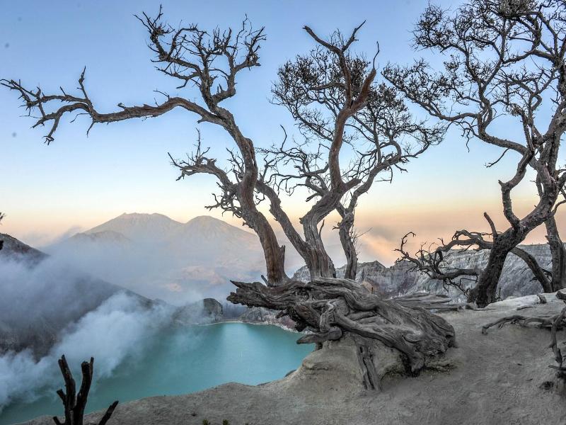 Ijen Resort image