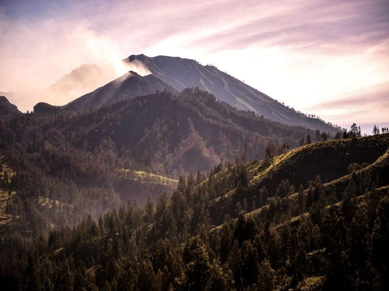 Ijen Resort image