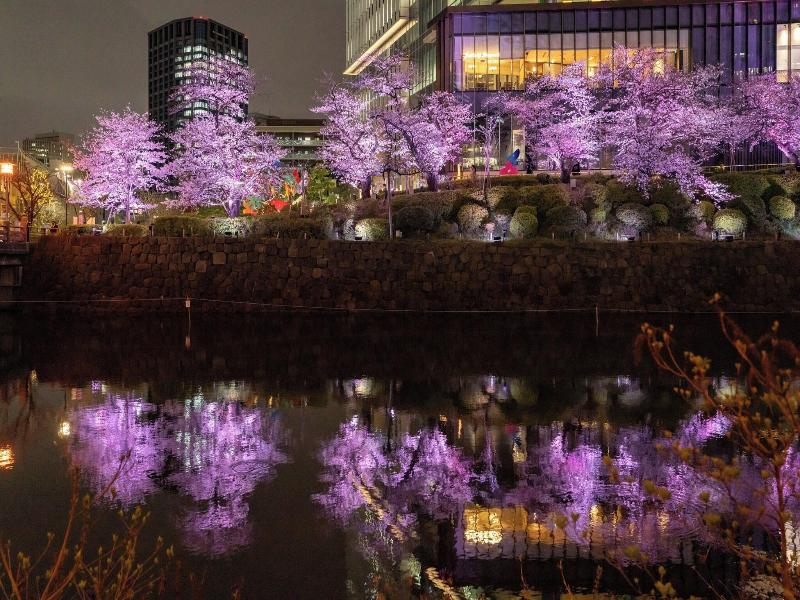 The Prince Gallery Tokyo Kioicho image