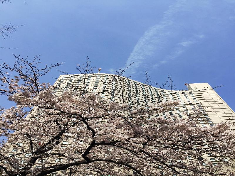 Hilton Tokyo image