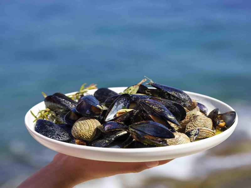 Stay in style at Rixos Premium Dubrovnik