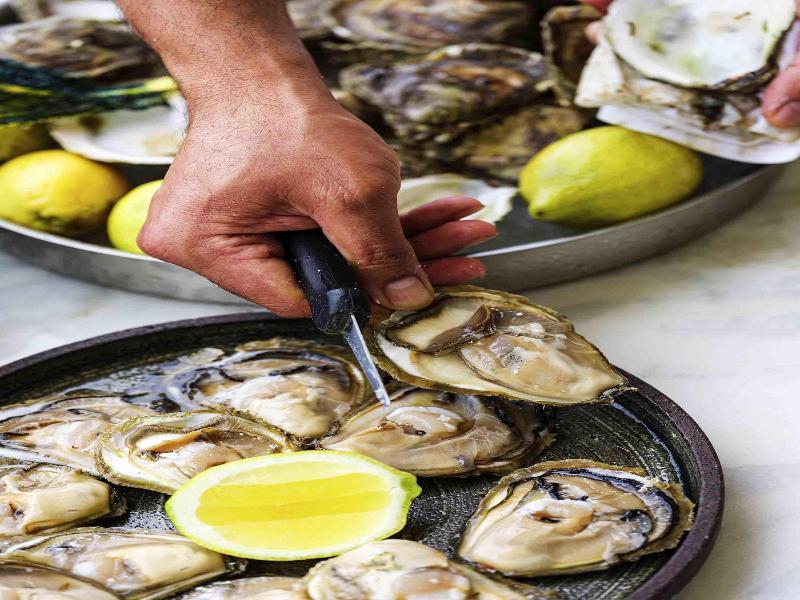 Stay in style at Rixos Premium Dubrovnik