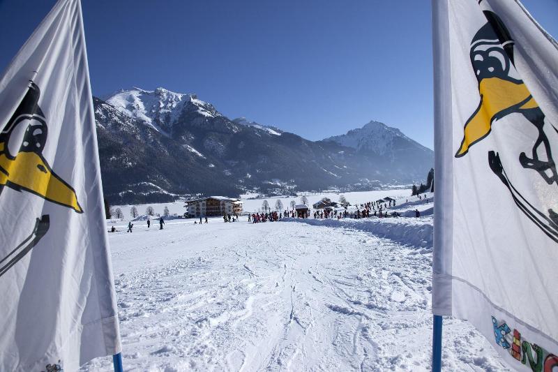 Bergland image