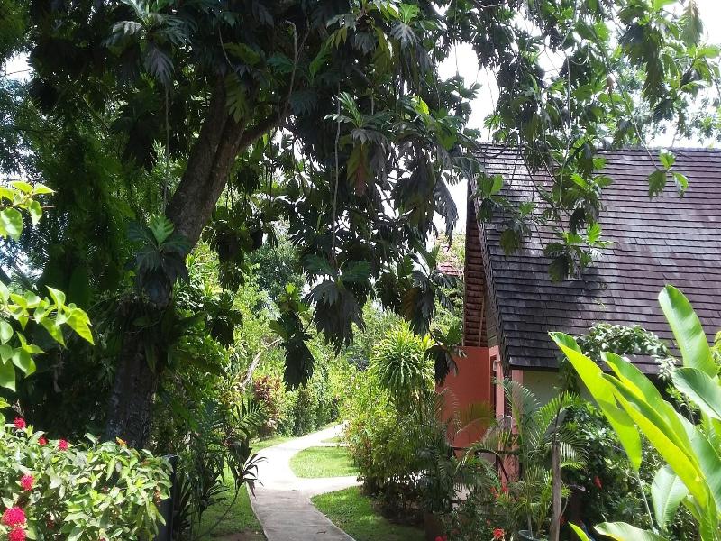 Firefly Beach Cottages image