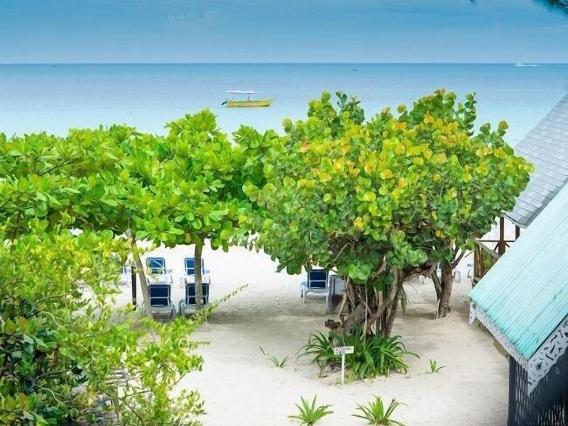 Firefly Beach Cottages image