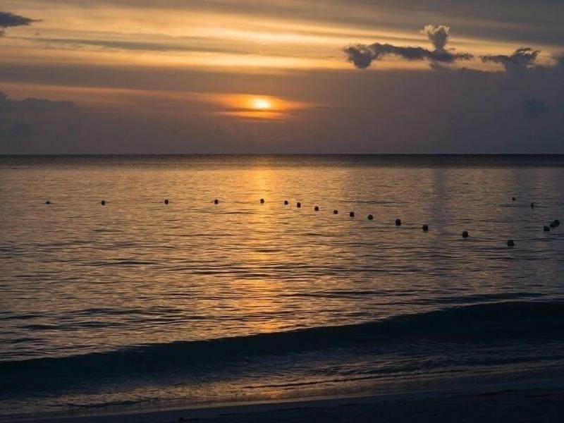 Firefly Beach Cottages image