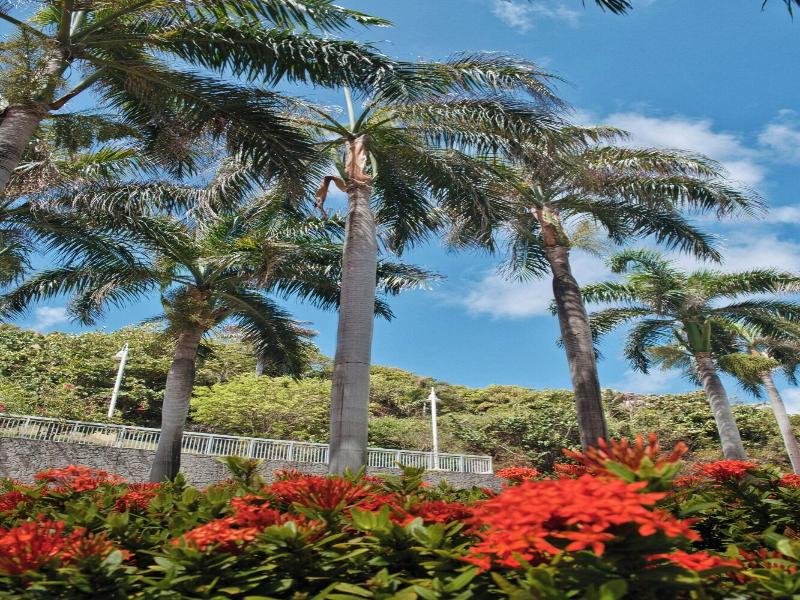 JW Marriott St. Maarten Beach Resort & Spa image
