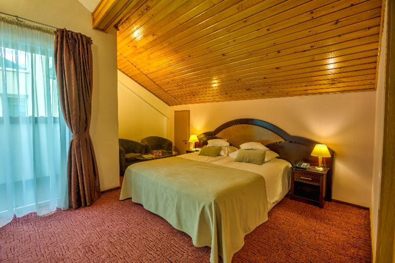 Ambient Hotel Brasov image