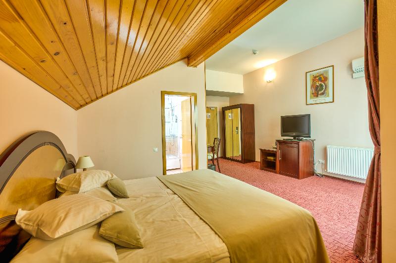 Ambient Hotel Brasov image