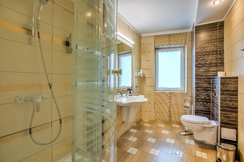 Ambient Hotel Brasov image