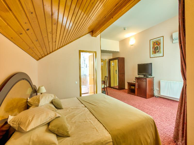 Ambient Hotel Brasov image