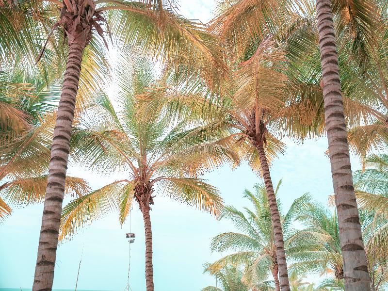 Movenpick Resort Lamantin Saly image