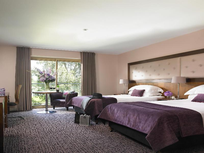 Dunboyne Castle Hotel & Spa image