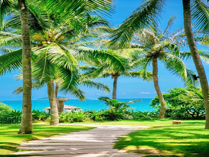 Sheraton Sanya image