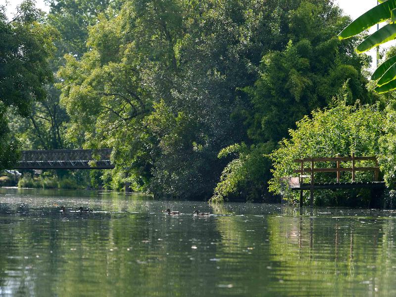 Mercure Niort Marais Poitevin Hotel image