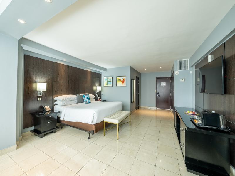 El Panama by Faranda Grand Radisson Individuals image