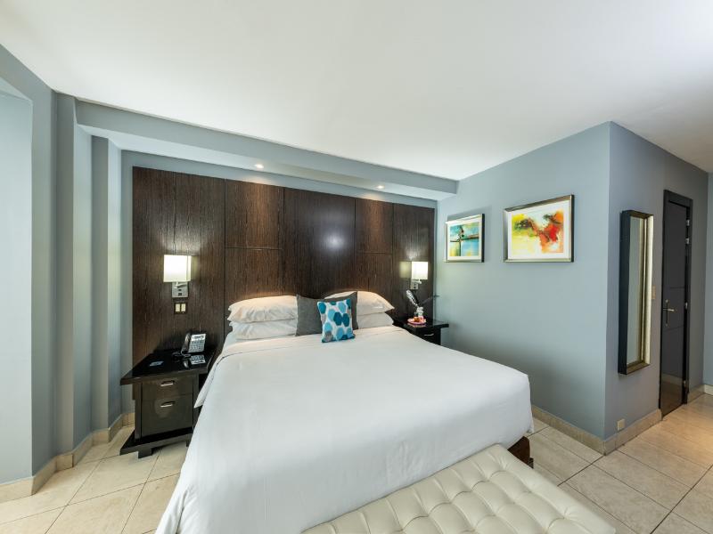 El Panama by Faranda Grand Radisson Individuals image