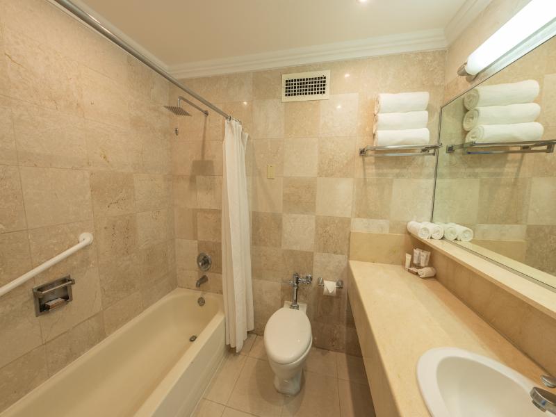 El Panama by Faranda Grand Radisson Individuals image