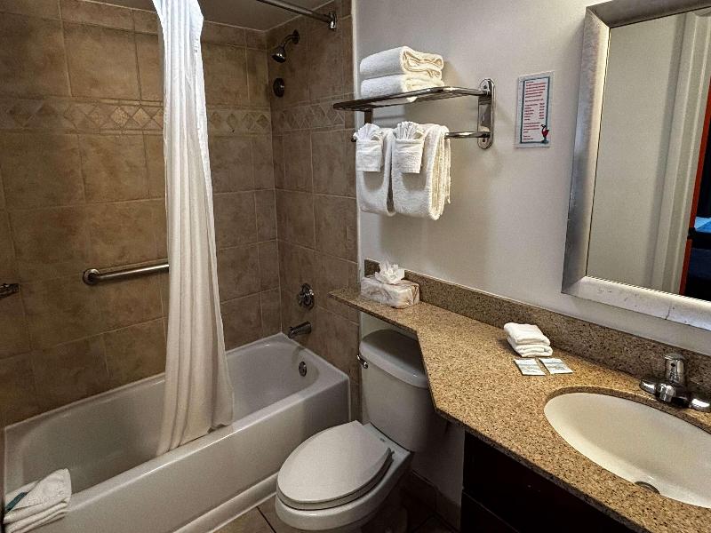 Ramada By Wyndham Hotel & Water Park image