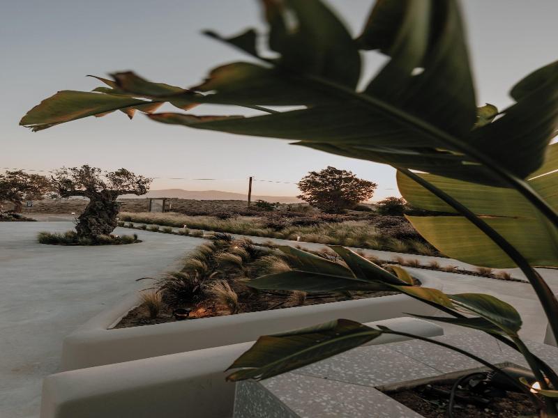 Onym Curated Villas image